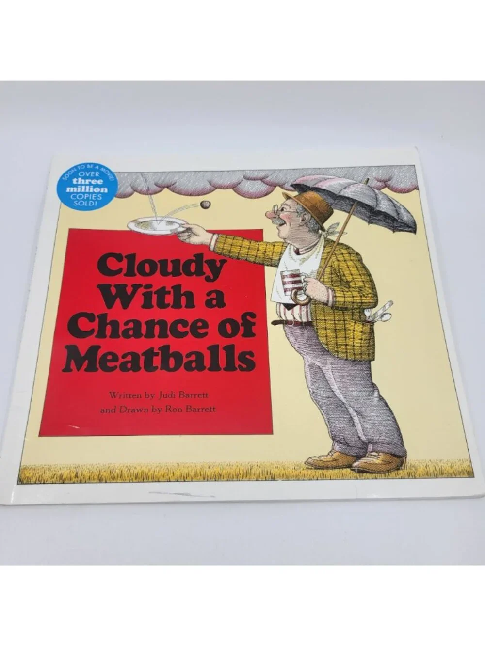 Cloudy w Meatballs & Pickles to Pittsburgh Lot of Books by Judi Barrett - BK024